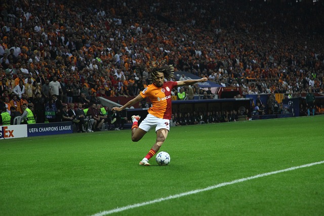 两位优秀的 两位优秀的