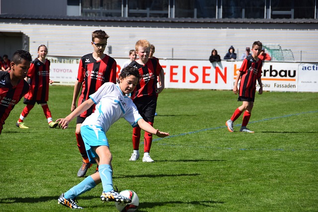 赢得了欧洲 赢得了欧洲