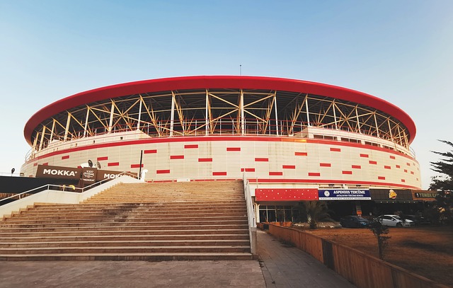 的综合考量 的综合考量